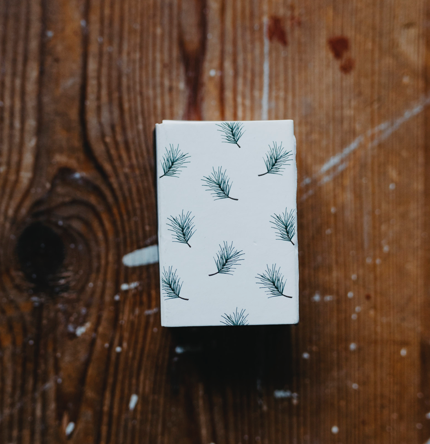 BOX OF MATCHES FERN SMALL