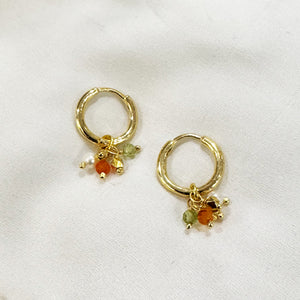 NE151 Small Hoop Earrings with Gemstone Cluster CN